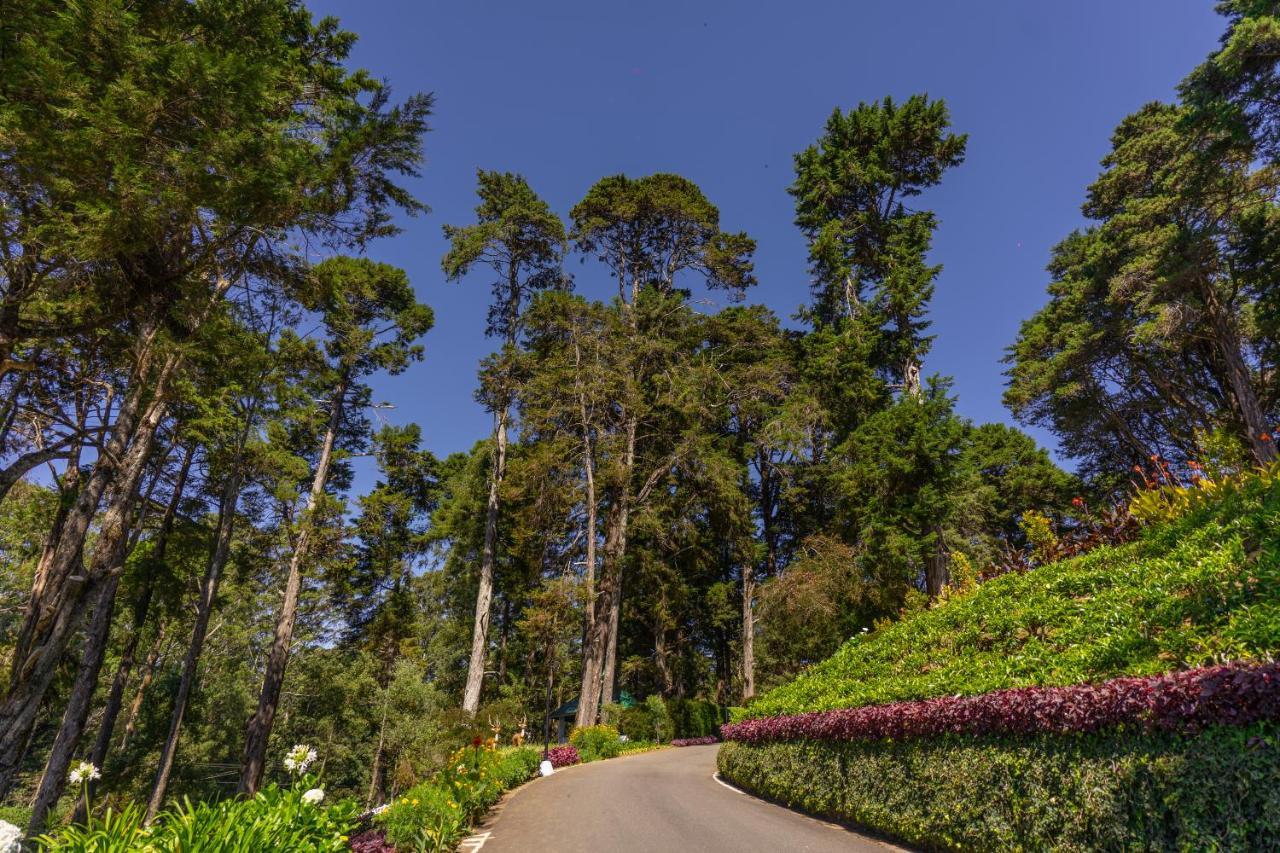 Mirage Kings Cottage Nuwara Eliya Exterior foto